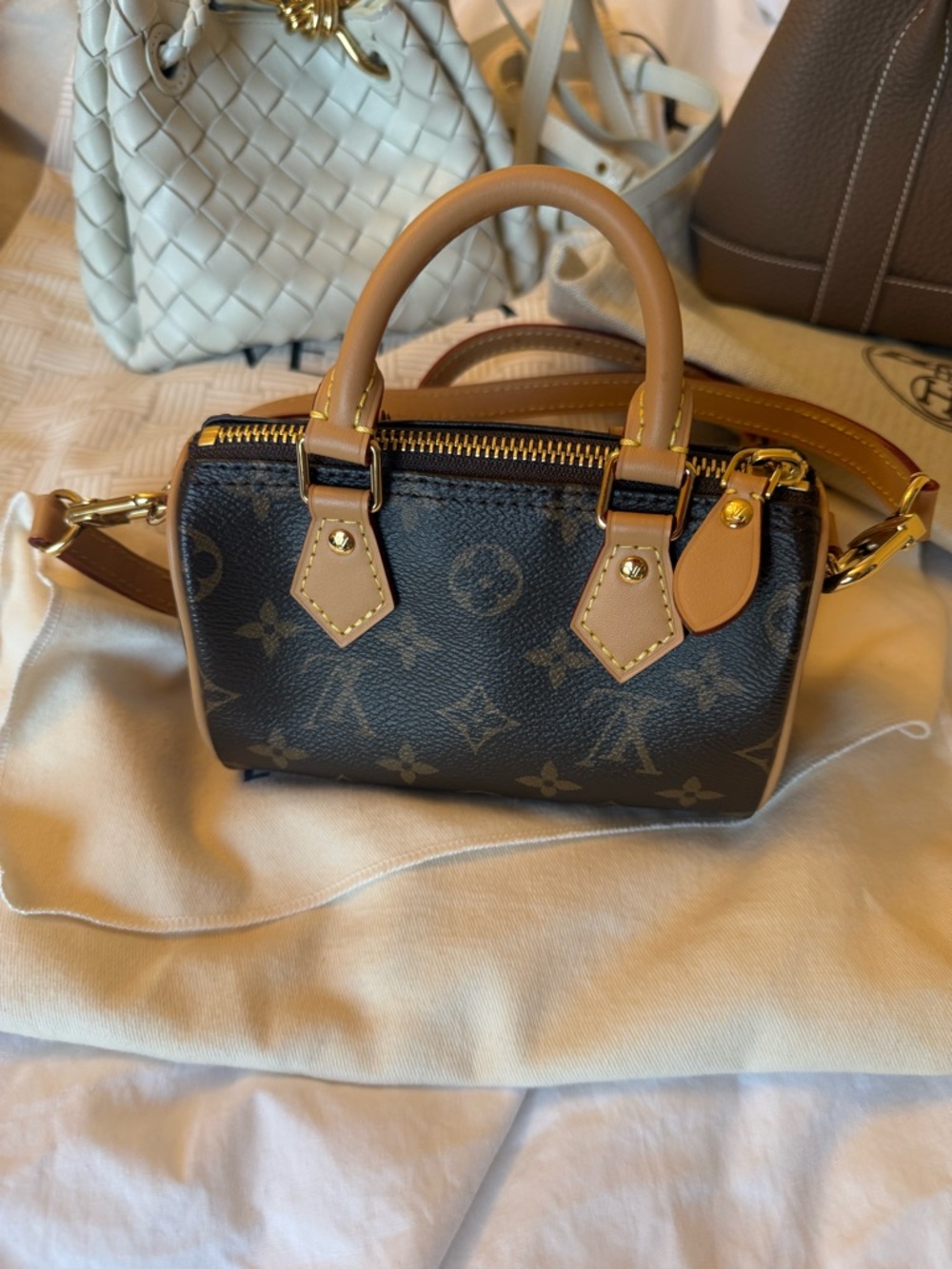 Brown Monogram Mini Speedy nano Crossbody Bag